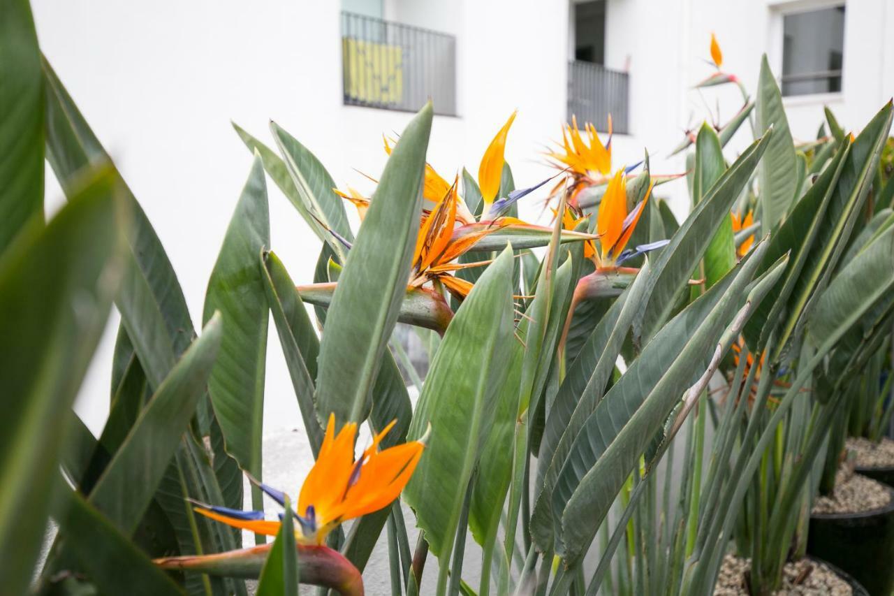 Lisbon Downtown Apartment Free Parking エクステリア 写真